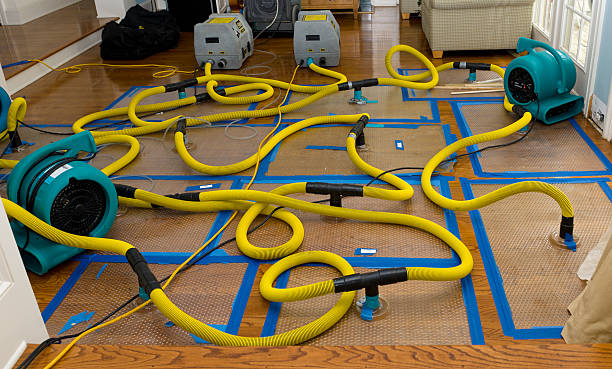 Professional Basement Flood Cleanup technician working in Murray, NE